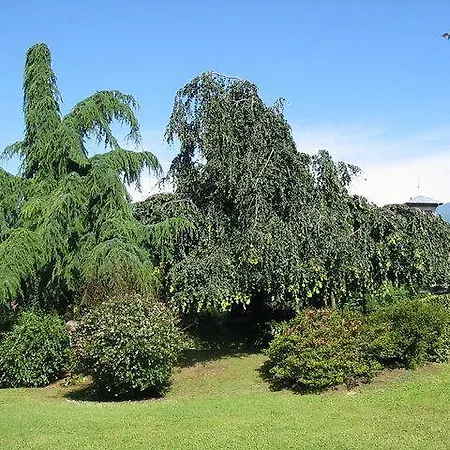 Apartment Cordelia 6 Luino