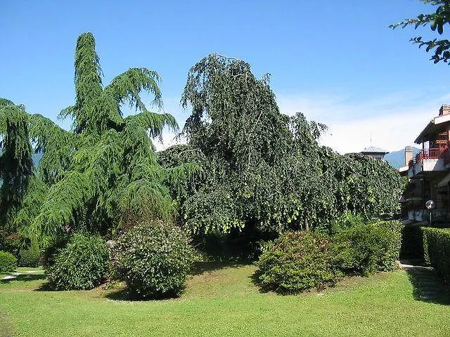 Lägenhet Cordelia 6 Luino